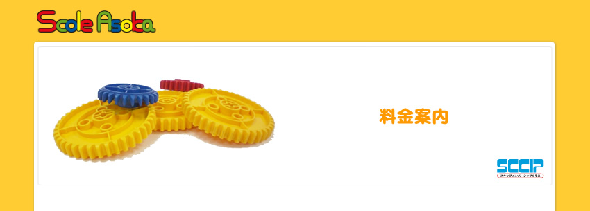 �X�R�[���A�\�J�@�����ē�